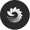 Logo shell@2x